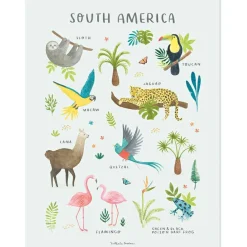 Discount Affiche Animaux d'Amérique du Sud (30 x 40 cm) Affiche