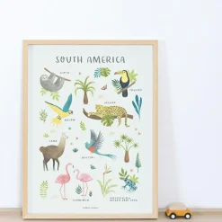 Discount Affiche Animaux d'Amérique du Sud (30 x 40 cm) Affiche