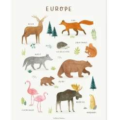 New Affiche Animaux d'Europe (30 x 40 cm) Affiche