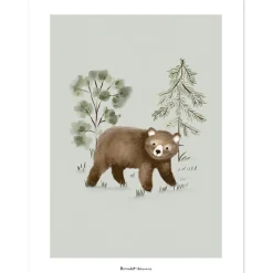 Clearance Affiche ours Little Bear (30 x 40 cm) Affiche