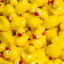 Petit Boum Bouteille sensorielle Move Ducky