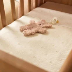 Jollein Doudou attache sucette Teddy Bear Wild Rose