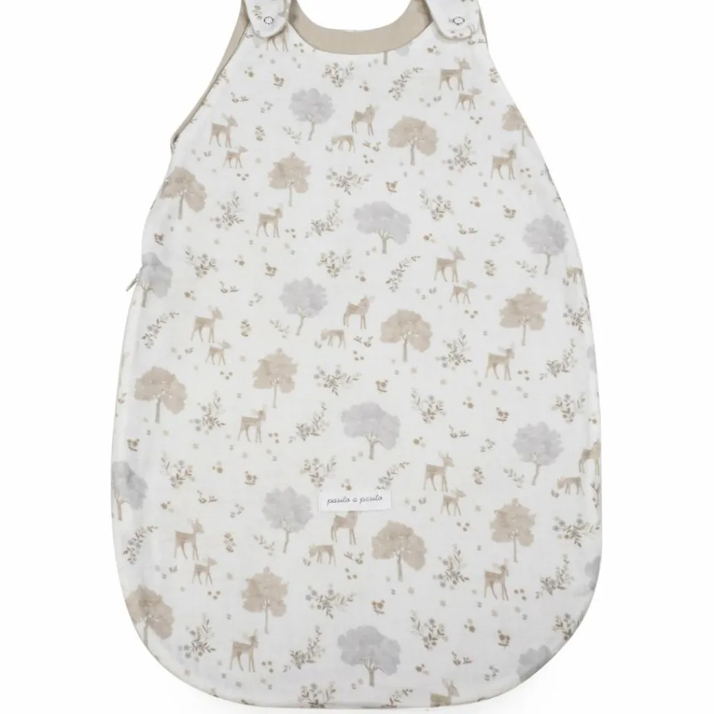 Pasito a pasito Gigoteuse été Nara