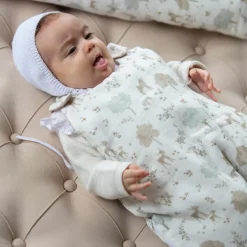 Pasito a pasito Gigoteuse été Nara