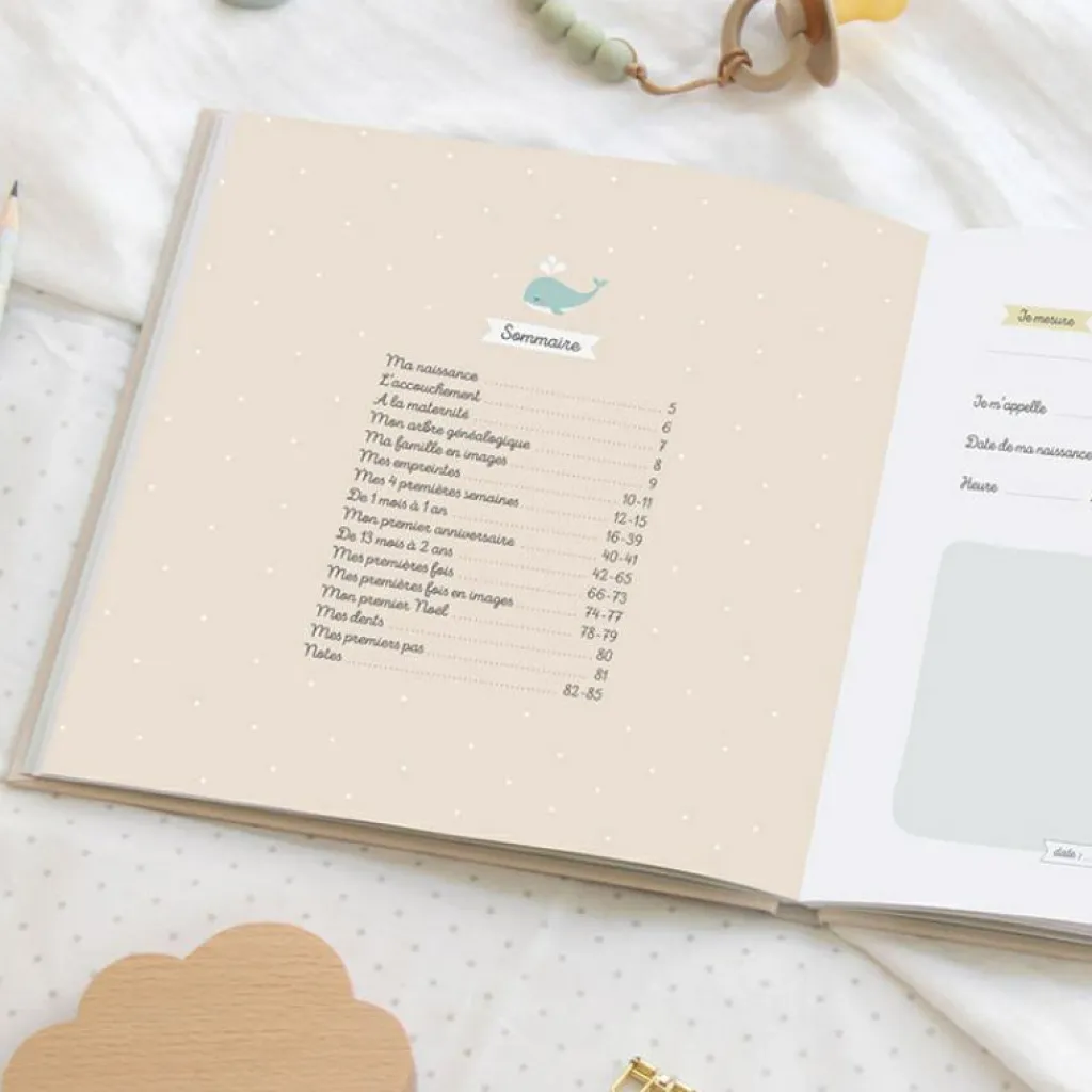 Zü Mon journal de bébé Mes 2 premières années