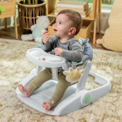 Ingenuity Siège d'apprentissage Casi le Zèbre