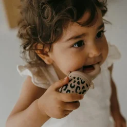 Zakuw Sucette grignoteuse Sauvage avec 4 embouts